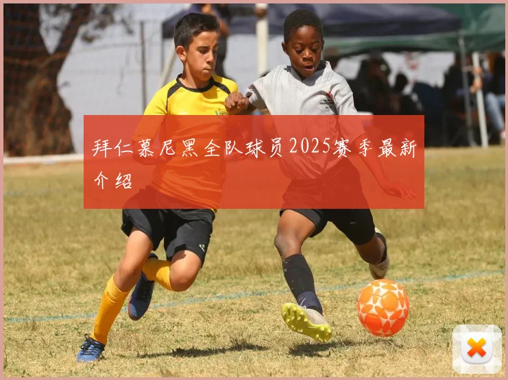 拜仁慕尼黑全队球员2025赛季最新介绍