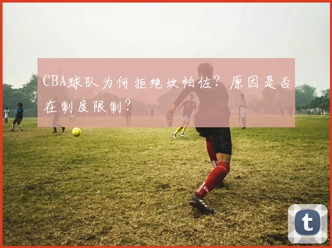CBA球队为何拒绝坎帕佐？原因是否在制度限制？