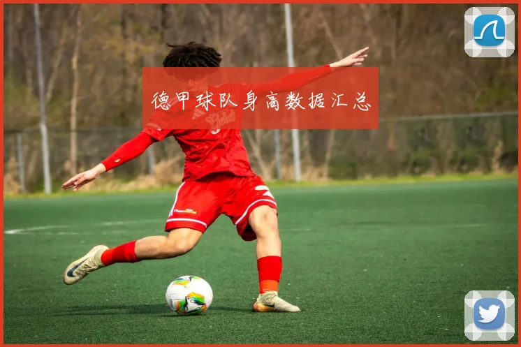 德甲球队身高数据汇总