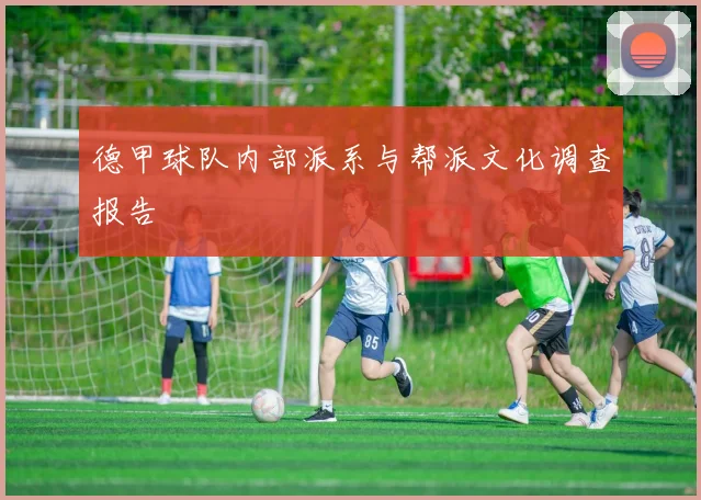 德甲球队内部派系与帮派文化调查报告