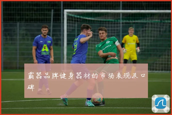 霸器品牌健身器材的市场表现及口碑